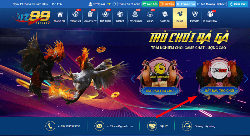 Đá gà WS168 - Sảnh game cá cược đá gà siêu HOT 2025 8 Cách tham gia đá gà WS168 tại nhà cái VZ99