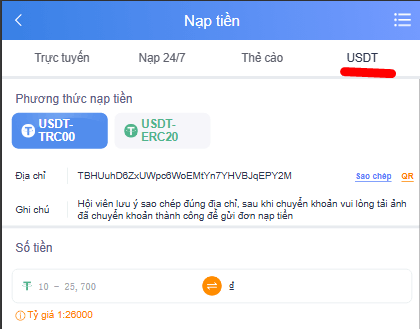 Quy chuẩn nạp tiền VZ99 đơn giản, dễ hiểu nhất 15 Nạp tiền VZ99 qua usdt